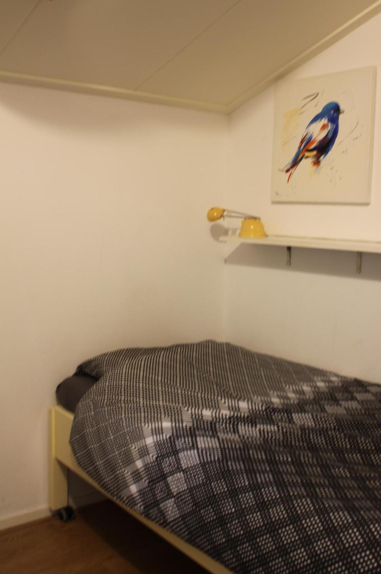 Boerenkiel Vakantiehuisjes De Kiel المظهر الخارجي الصورة